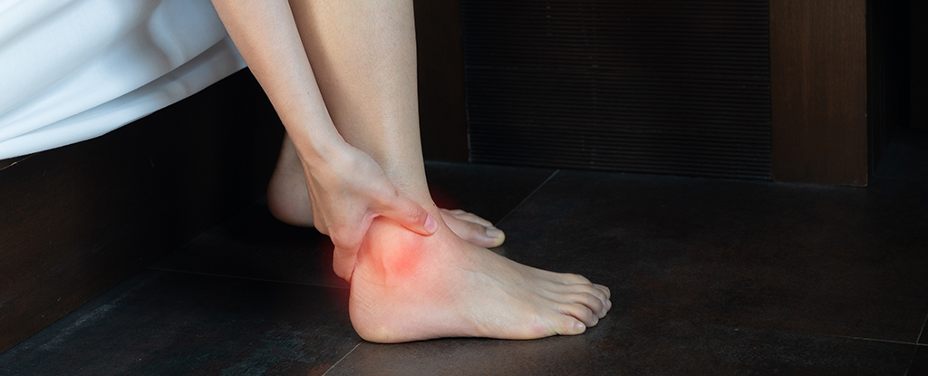 Massive Study Shows Where Gout Comes From, And It's Not What We Thought : ScienceAlert