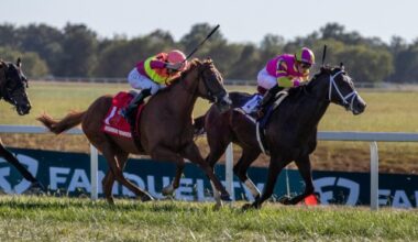 Grand Sonata tries to be third Ky Turf Cup repeat winner