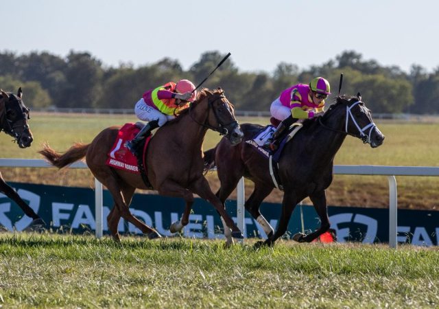 Grand Sonata tries to be third Ky Turf Cup repeat winner