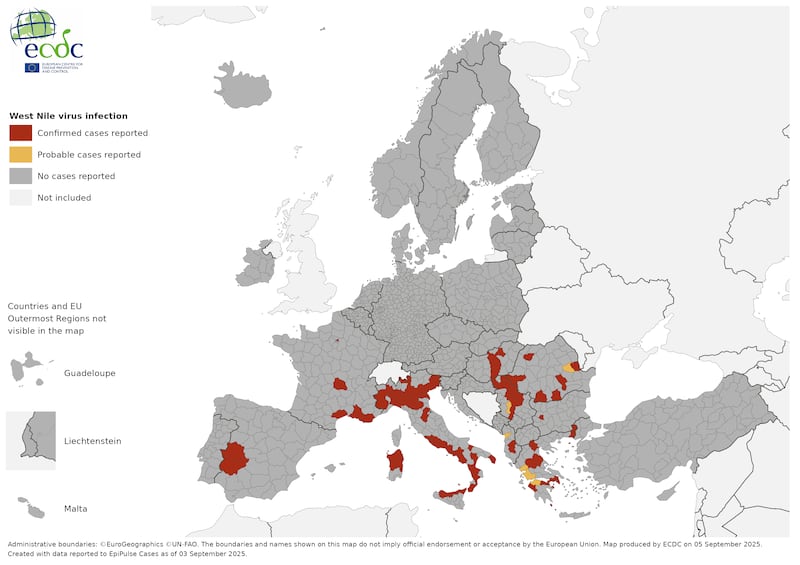 West nile virus