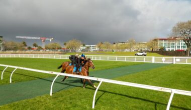 Ellerslie adds extra safety feature to new racing surface