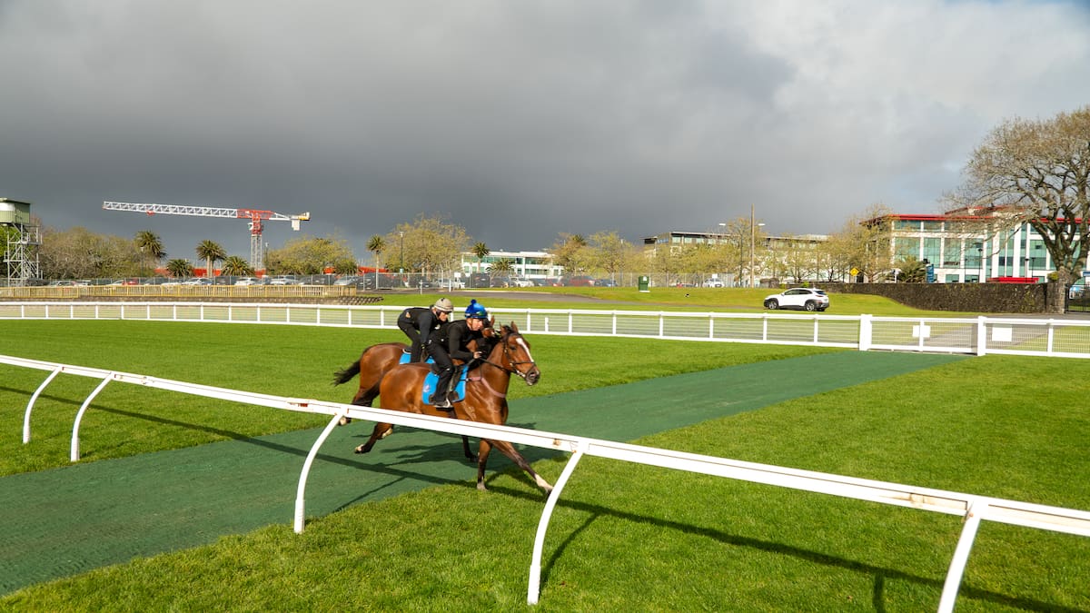 Ellerslie adds extra safety feature to new racing surface