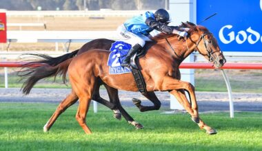 Half Yours hunts full ticket to the Caulfield Cup