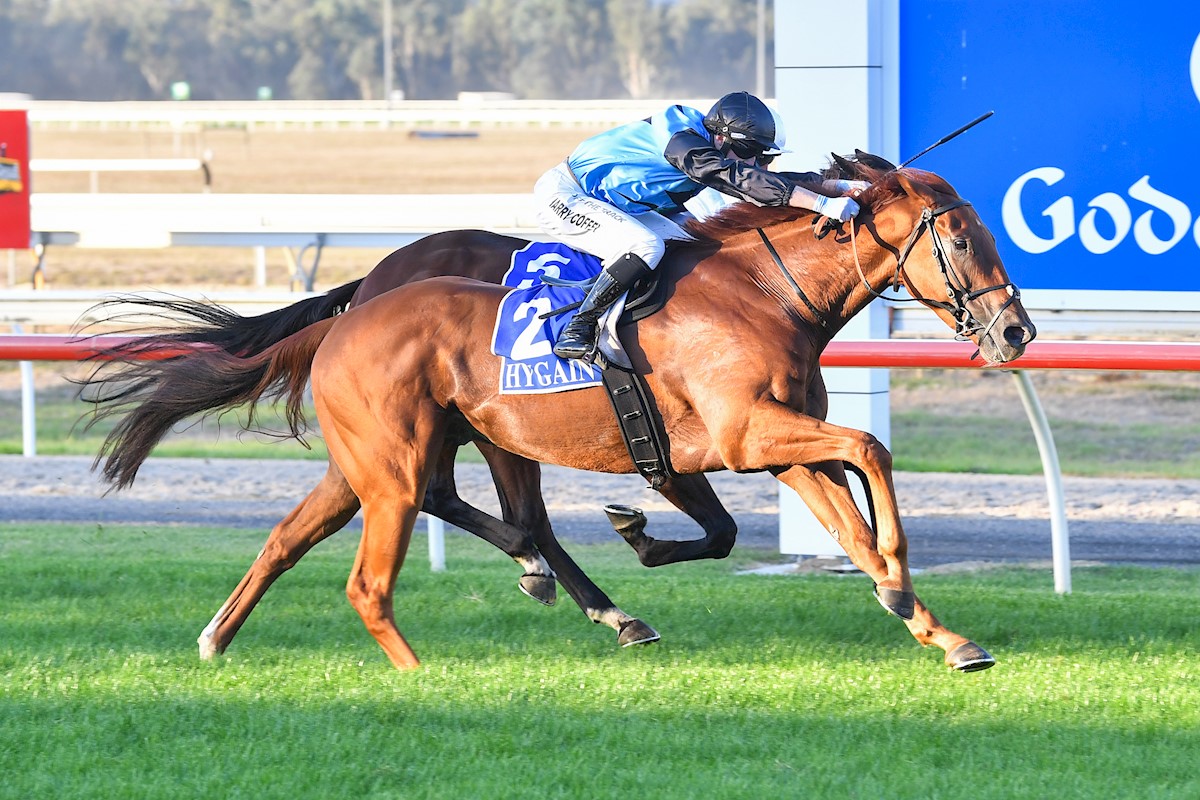 Half Yours hunts full ticket to the Caulfield Cup