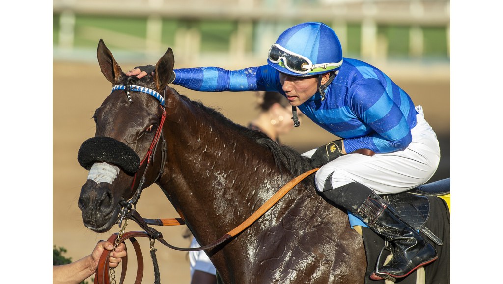 Phil D’Amato tries to repeat again in Saturday's John C. Mabee Stakes at Del Mar