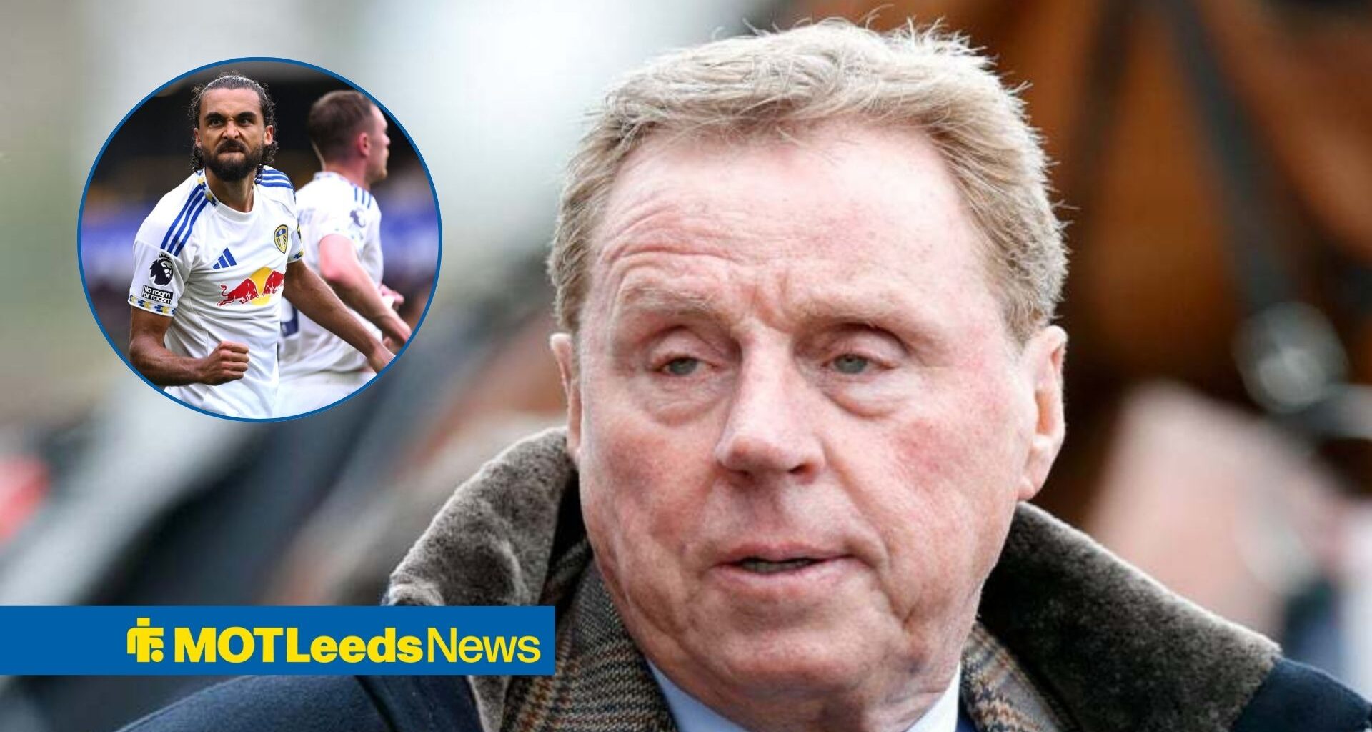 Harry Redknapp namedrops Leeds United in bold new relegation prediction