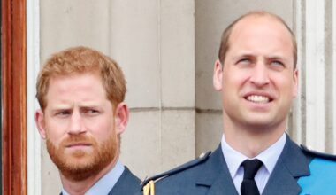A Viral Prince Harry & Prince William’s Clip Has Resurfaced