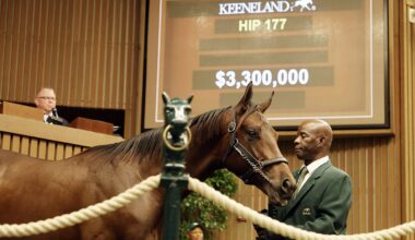 Gun Runner Colt A Late Session Topper At $3.3m For Brant