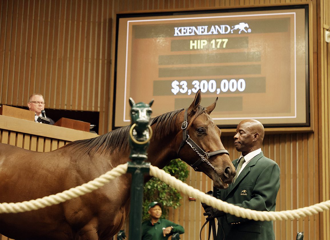 Gun Runner Colt A Late Session Topper At $3.3m For Brant