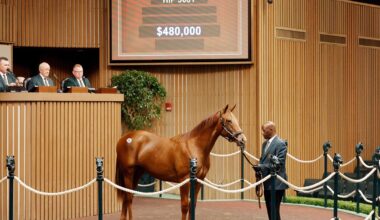 A-Plus Finish For Book 5A As Turnover Exceeds A Half-Billion Dollars at Keeneland September
