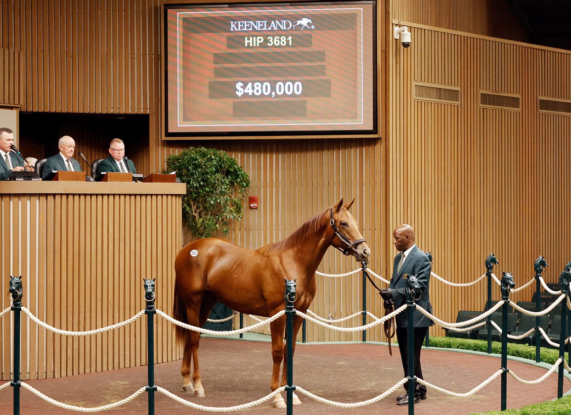A-Plus Finish For Book 5A As Turnover Exceeds A Half-Billion Dollars at Keeneland September