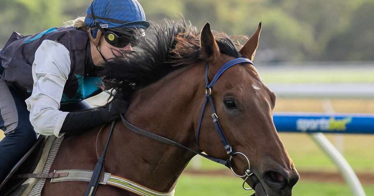 Amelia Heinrich's riding dream to come true :: Racing Queensland