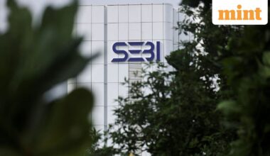 Stock market this week: Top gainers and losers decoded