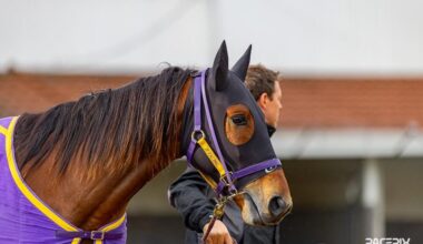 Gloucester Park Harness Racing