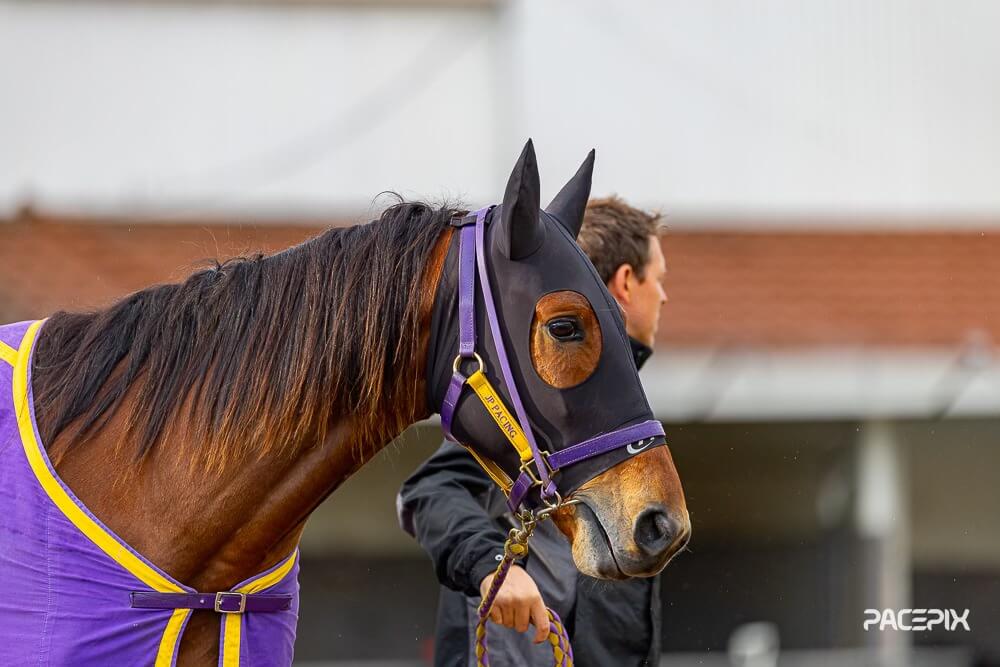 Gloucester Park Harness Racing