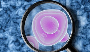 Illustration of a Uterine Cancer Cell
