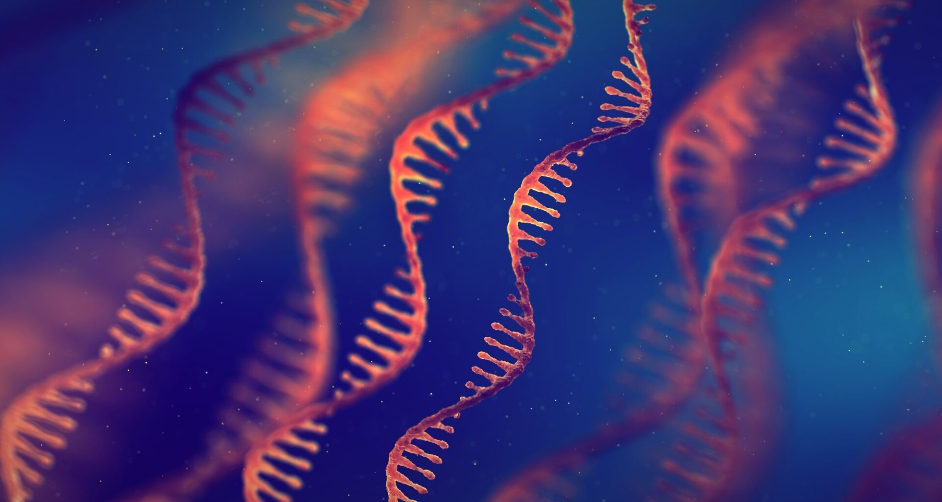 Single strand ribonucleic acid (RNA) molecules. 3D illustration