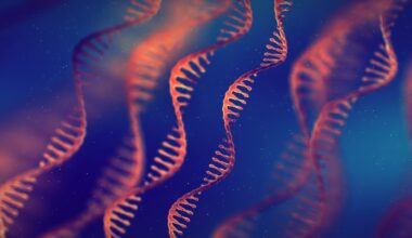 Single strand ribonucleic acid (RNA) molecules. 3D illustration