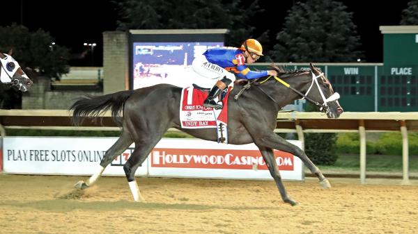 Betting a Sprinter Stretching Out in Distance to Post a Cotillion Stakes Upset