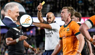 Joe Schmidt takes issue with what ‘really hurt’ the Wallabies