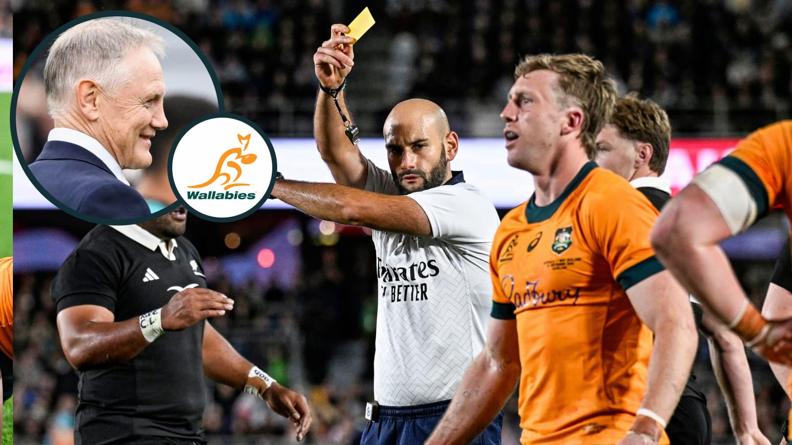 Joe Schmidt takes issue with what ‘really hurt’ the Wallabies