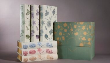 Jane Austen Collectors Set: Buy Online