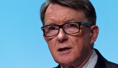 ‘Your friends love you,’ UK ambassador Mandelson told Epstein after charges, emails show – The Irish Times