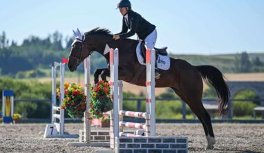 OTTB Spotlight: Jimmy Is A Breeze