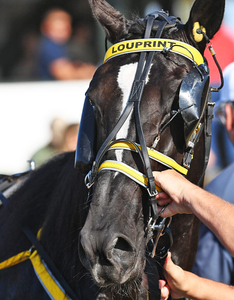 Hal McCoy: Louprint Makes Imprint While Winning The Little Brown Jug