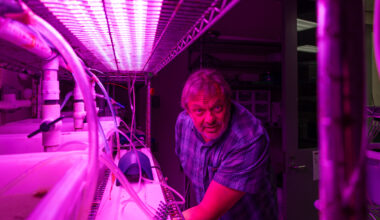 Cracking the Code on 'Super Kelp' Genetics