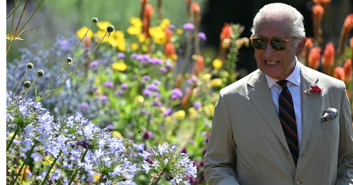 You Won’t Believe Who Once Called King Charles on His Personal Phone!