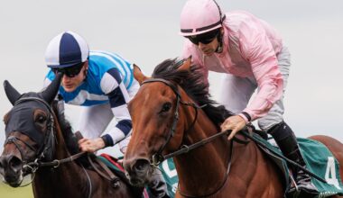 Curragh taking care of business with Goffs Million topping big money weekend – The Irish Times