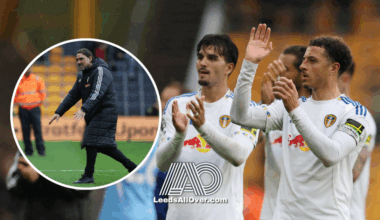 Leeds United News: Daniel Farke