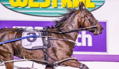 Gloucester Park Harness Racing