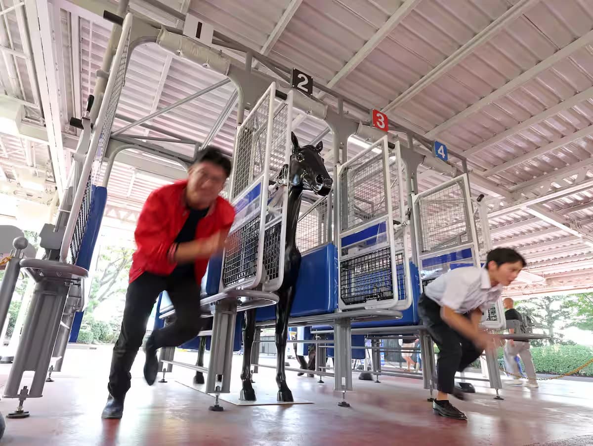 horse racing starting gate