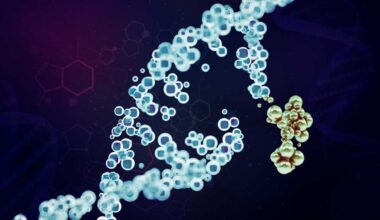 A more precise way to edit the genome | MIT News