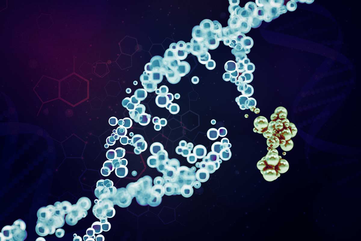 A more precise way to edit the genome | MIT News