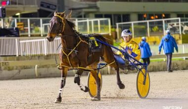 Gloucester Park Harness Racing