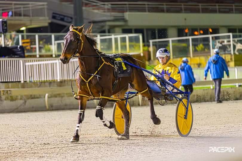 Gloucester Park Harness Racing