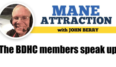 The BDHC members speak up