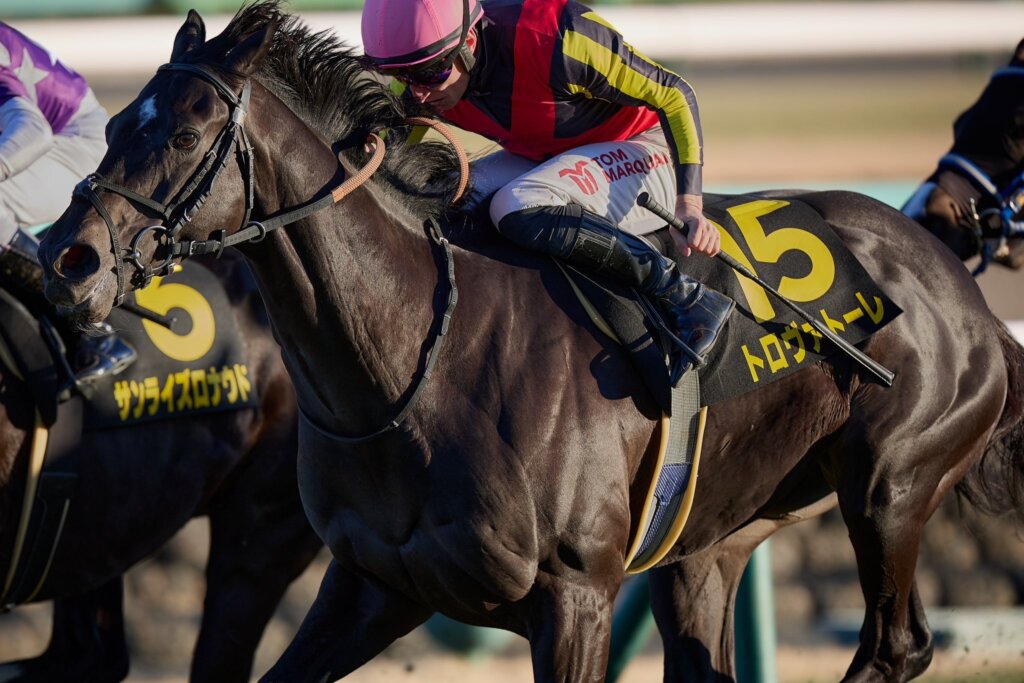 Tom Marquand wins the New Year Stakes on Trovatore