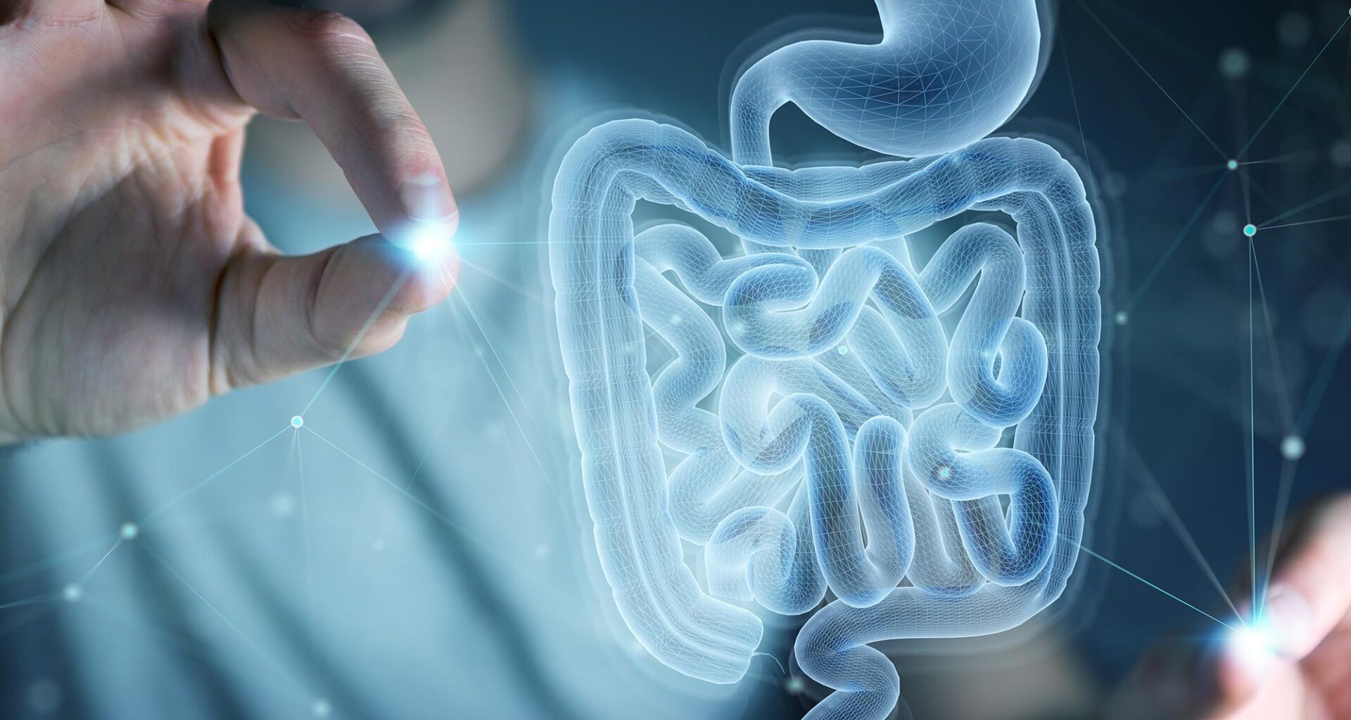 Medical Scan Human Intestines Digestive System Hologram Technology