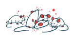 A handful of mice are seen clustered together, with one eating a food pellet.