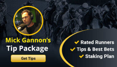 Mick-Gannon-Banner