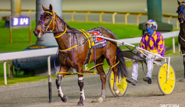 Gloucester Park Harness Racing