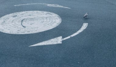 Greens call on Council to beautify mini roundabouts