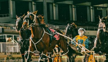 Gloucester Park Harness Racing