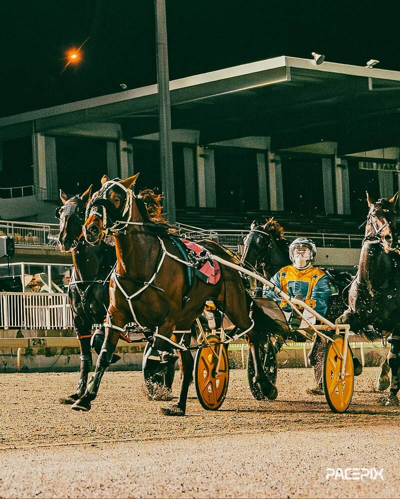 Gloucester Park Harness Racing