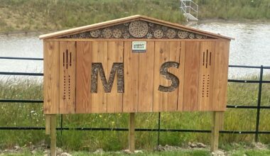Giant Bug Hotel Installed At Leeds Housing Development