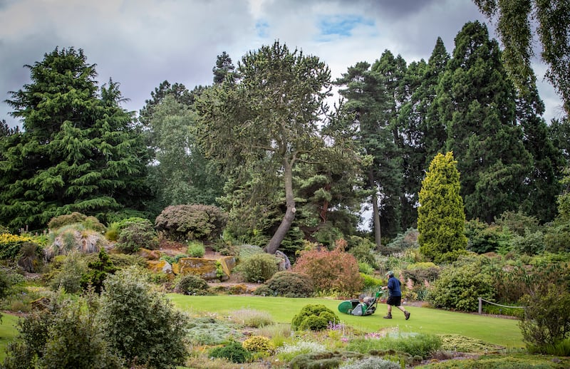 The Royal Botanic Garden Edinburgh is home to more than 13,500 species of plant across its four sites